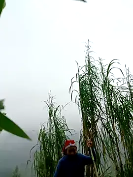 kemtuoi-sex online show from April 1, 2026, 2:56 am