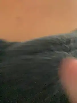 Snapshot of ___seusegredo chatting on February 4, 2026, 6:03 pm seusegredo online show from February 4, 2026, 6:03 pm