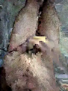 ash706339 online show from September 19, 2025, 6:52 pm