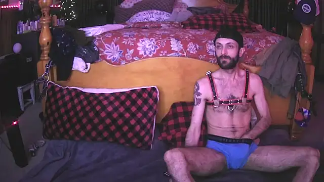 HarmoniousPhantasm3 online show from November 4, 2025, 12:21 am