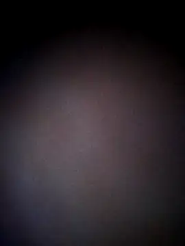 Snapshot of thehotlady chatting on October 24, 2025, 8:44 am thehotlady online show from October 24, 2025, 8:44 am