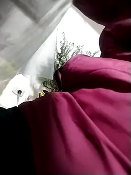 LaraCaliente online show from November 4, 2025, 1:27 am