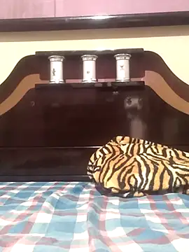 Snapshot of Cachorrinha2025 chatting on November 13, 2025, 8:30 pm Cachorrinha2025 online show from November 13, 2025, 8:30 pm