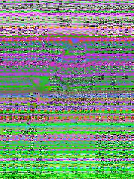 MaddyX   online show from November 15, 2025, 7:21 pm