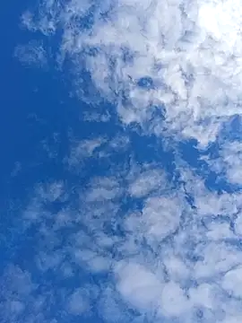 matatan0323 online show from April 13, 2026, 2:11 pm