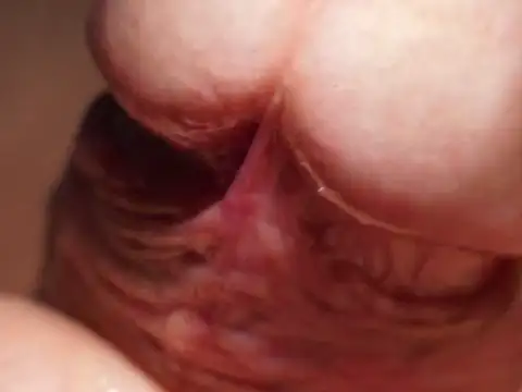 Kadazano online show from April 7, 2026, 3:01 pm