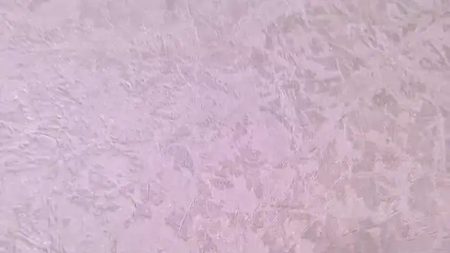 paulina cano online show from December 21, 2025, 7:10 pm