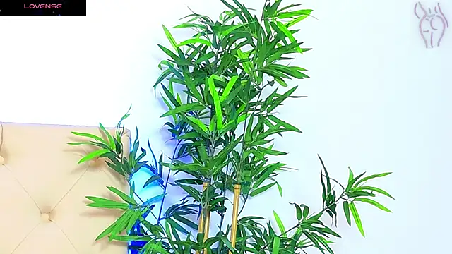 CoraVex online show from September 16, 2025, 6:03 am