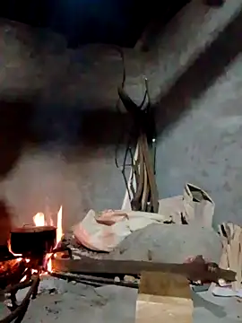 donna-bae online show from April 16, 2026, 11:22 am