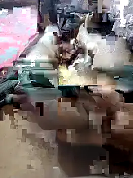 UnbowedAgronomy online show from February 14, 2026, 10:50 pm