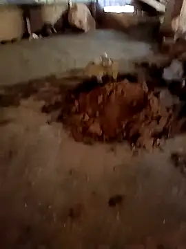 callistra online show from January 13, 2026, 6:51 am