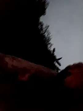 callistra online show from March 13, 2026, 11:28 am