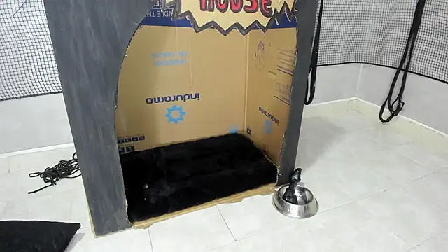 BDSM MEDUZA online show from February 13, 2026, 3:24 am