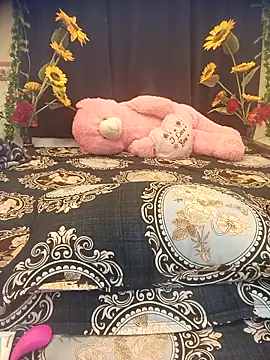 Snapshot of Sweets-jaanu chatting on April 3, 2026, 6:11 am Sweets-jaanu online show from April 3, 2026, 6:11 am