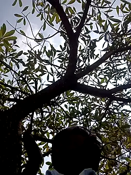 Snapshot of ipvk chatting on March 2, 2026, 7:15 am ipvk online show from March 2, 2026, 7:15 am