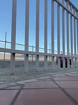 liahouses online show from September 28, 2025, 9:53 pm