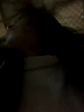 Snapshot of Halyy_xx chatting on November 8, 2025, 11:36 pm Halyy xx online show from November 8, 2025, 11:36 pm