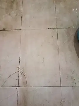 TeluguCuplehyd online show from September 20, 2025, 11:17 pm