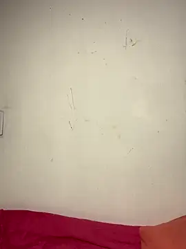 Snapshot of Bulma04 chatting on November 9, 2025, 4:33 am Bulma04 online show from November 9, 2025, 4:33 am