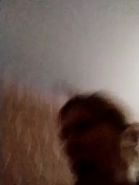 Ponka2011 online show from February 27, 2026, 5:51 am