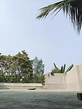 Snapshot of reya743 chatting on February 3, 2026, 9:47 am reya743 online show from February 3, 2026, 9:47 am