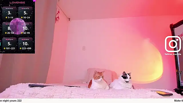 Snapshot of tellmemaddie chatting on November 1, 2025, 8:11 pm tellmemaddie online show from November 1, 2025, 8:11 pm