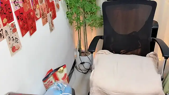 NEWONETO online show from March 8, 2026, 12:20 pm