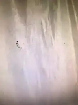 amasha200 online show from March 9, 2026, 12:03 am