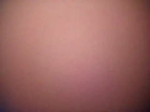 Snapshot of Arab-xxxx chatting on March 20, 2026, 10:14 pm Arab-xxxx online show from March 20, 2026, 10:14 pm