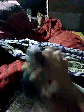 nagepalli online show from October 22, 2025, 5:02 pm