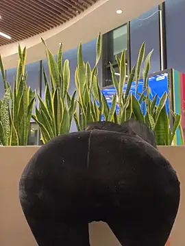 ilariea girl online show from February 3, 2026, 5:07 pm