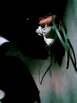 bae-bae online show from November 6, 2025, 11:22 am