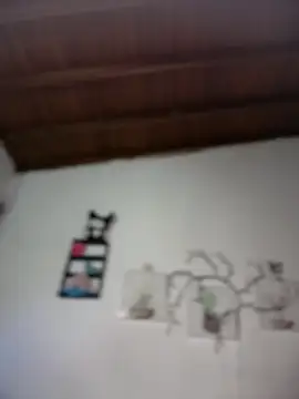 Solaangel  online show from February 10, 2026, 12:04 am