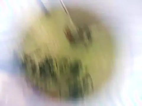 Snapshot of Masha412111 chatting on October 22, 2025, 8:19 pm Masha412111 online show from October 22, 2025, 8:19 pm