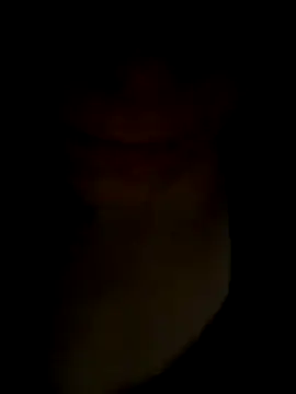 Snapshot of pleasedontpressaredburton chatting on November 14, 2025, 1:04 am pleasedontpressaredburton online show from November 14, 2025, 1:04 am