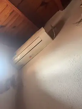 lcyatussbe online show from October 29, 2025, 2:19 pm