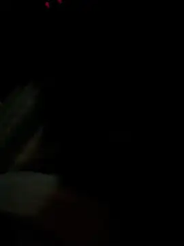 Snapshot of ayrtonmen chatting on February 17, 2026, 6:54 am ayrtonmen online show from February 17, 2026, 6:54 am