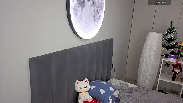 Dark Project online show from January 16, 2026, 7:34 am