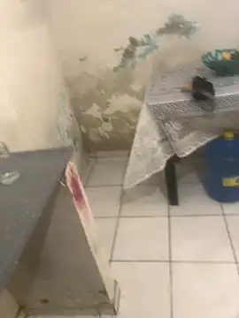 Snapshot of -__gozada chatting on October 3, 2025, 12:02 pm - gozada online show from October 3, 2025, 12:02 pm