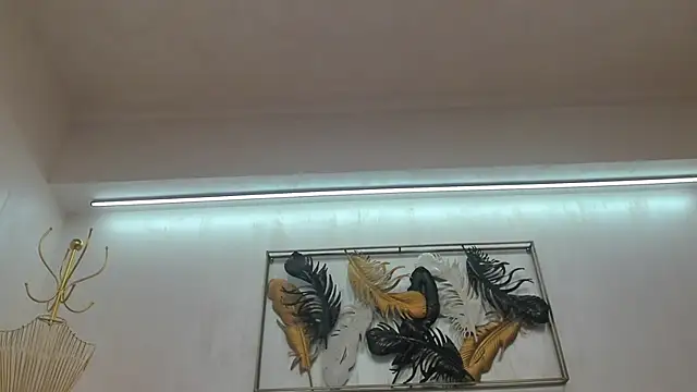 Snapshot of VikaFever chatting on October 27, 2025, 5:00 am VikaFever online show from October 27, 2025, 5:00 am