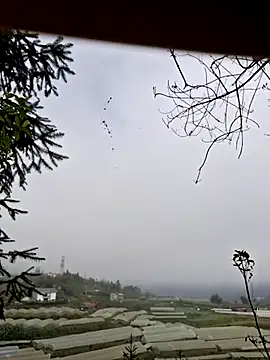 Snapshot of miomio-12 chatting on November 7, 2025, 1:38 am miomio-12 online show from November 7, 2025, 1:38 am