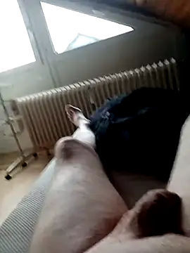 Snapshot of ImperlPerverso59 chatting on October 18, 2025, 11:55 am ImperlPerverso59 online show from October 18, 2025, 11:55 am