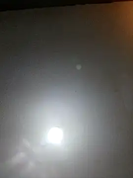 Snapshot of T1T012 chatting on February 13, 2026, 1:34 am T1T012 online show from February 13, 2026, 1:34 am