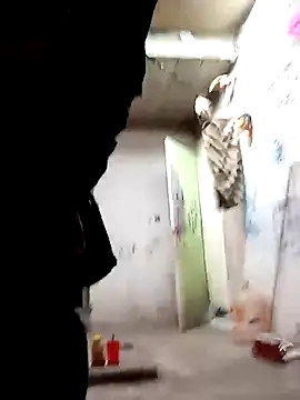 8uno online show from October 17, 2025, 3:03 pm