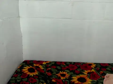 SeductiveJonicakesss online show from October 8, 2025, 1:47 am