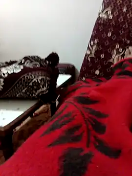 latarak321 online show from December 16, 2025, 8:41 am