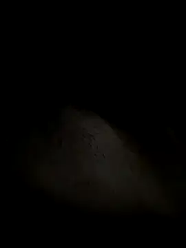 leiteiro2002 online show from October 25, 2025, 2:41 am