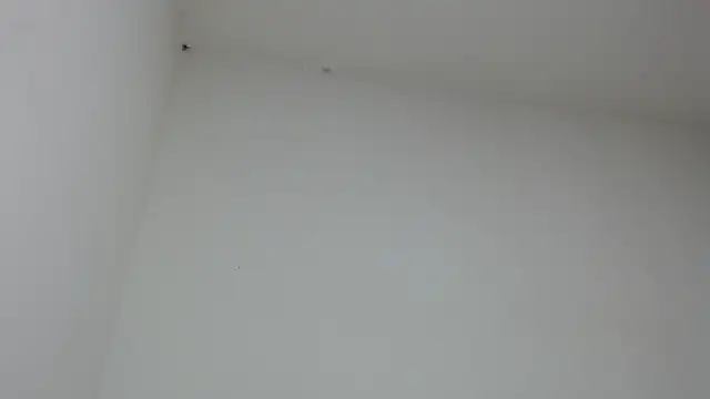 Snapshot of drako_monster chatting on January 31, 2026, 9:46 pm drako monster online show from January 31, 2026, 9:46 pm