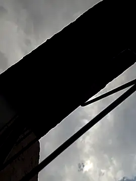 Co punam online show from June 23, 2026, 11:41 am