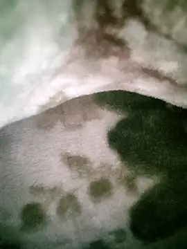 Anchal-8798 online show from January 12, 2026, 5:51 pm